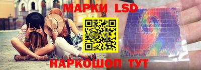 шишки Будённовск