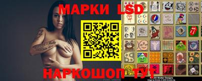 шишки Будённовск