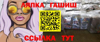 шишки Будённовск