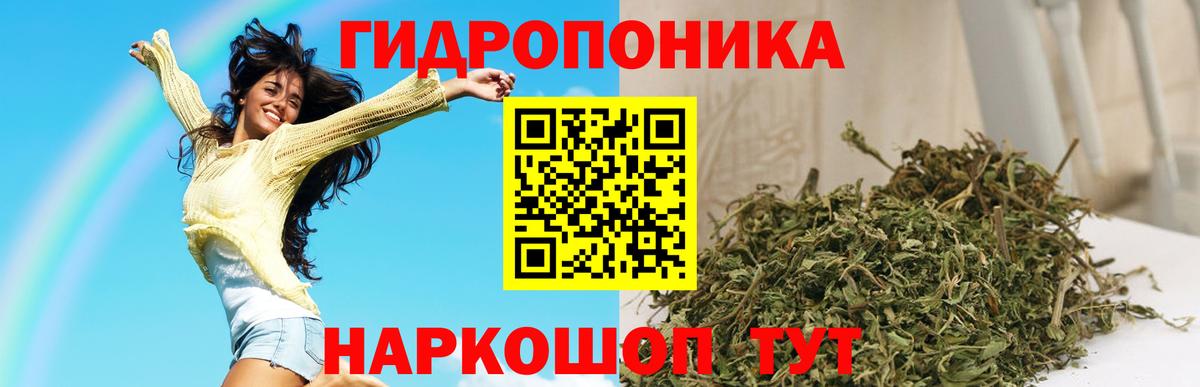 Бошки марихуана план Слободской